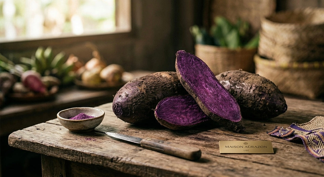 D'où vient le ube ? Plongée dans l'histoire d'une racine millénaire